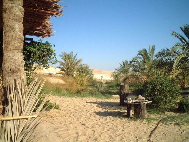 aegypten - oase-quelle_bir_wahid